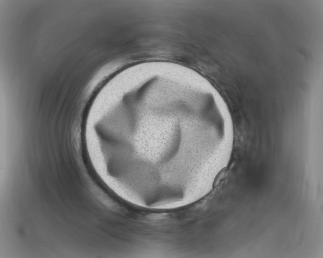 X0000113330054200910131157