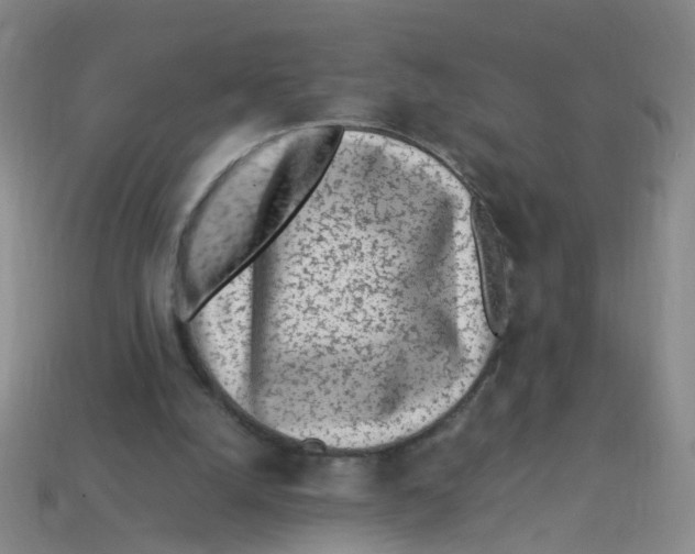 X0000113330056200910131157