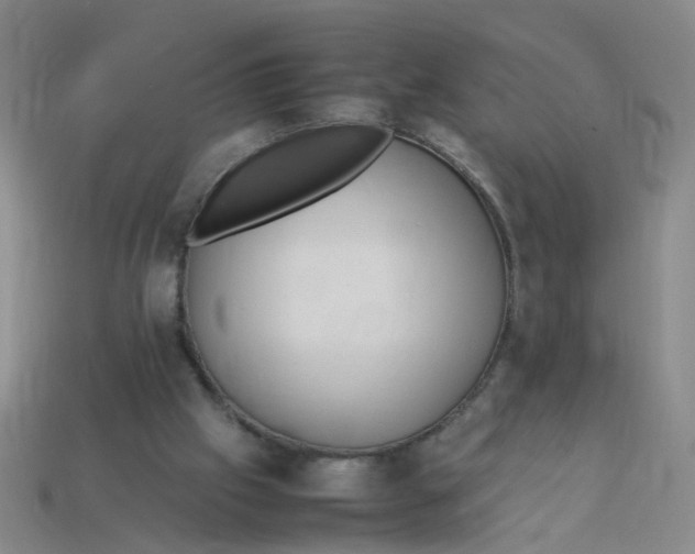 X0000113330057200910131157