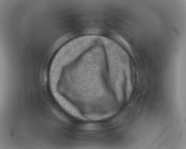 X0000113330059200910131157