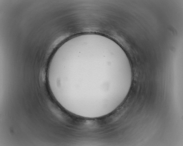 X0000113330060200910131157
