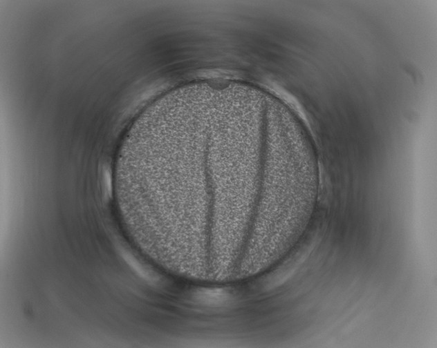 X0000113330061200910131157