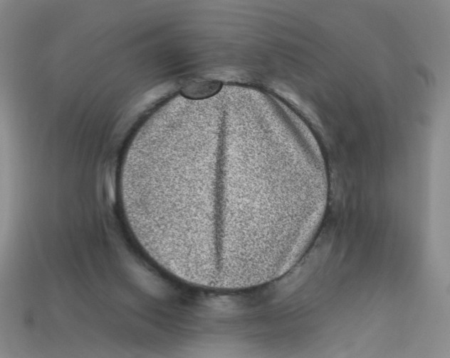 X0000113330062200910131157