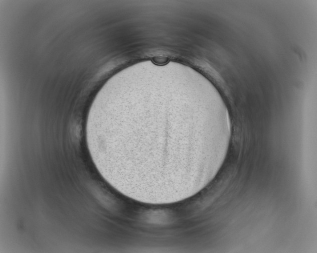 X0000113330063200910131157