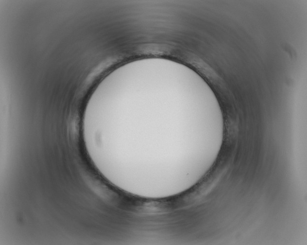 X0000113330064200910131157