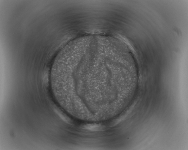 X0000113330065200910131157