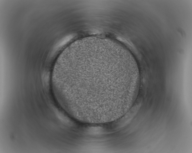 X0000113330066200910131157