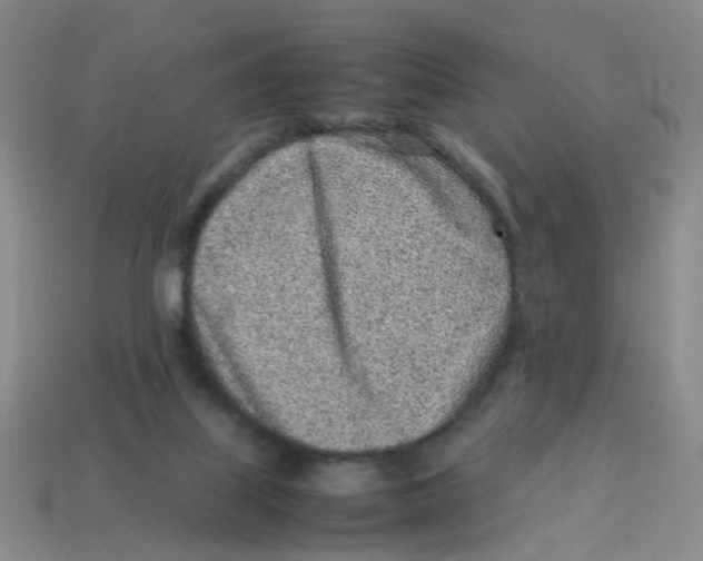 X0000113330067200910131157