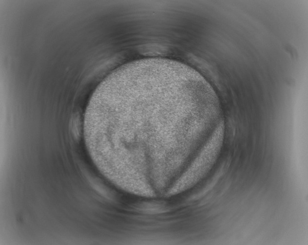 X0000113330069200910131157