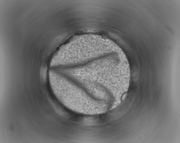 X0000113330070200910131157