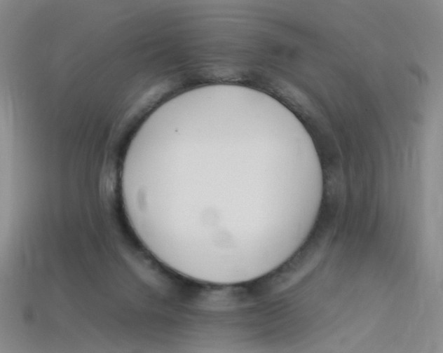 X0000113330072200910131157