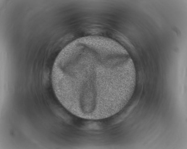 X0000113330073200910131157