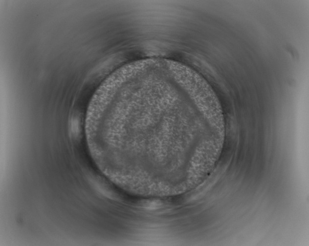 X0000113330074200910131157