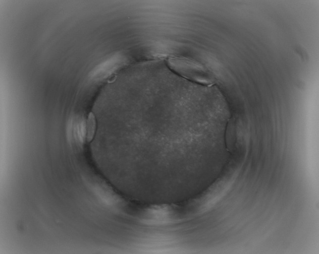 X0000113330076200910131157