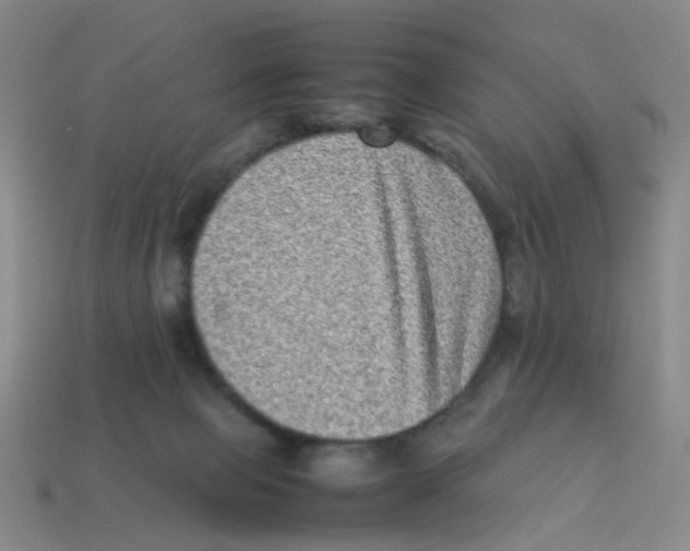 X0000113330077200910131157