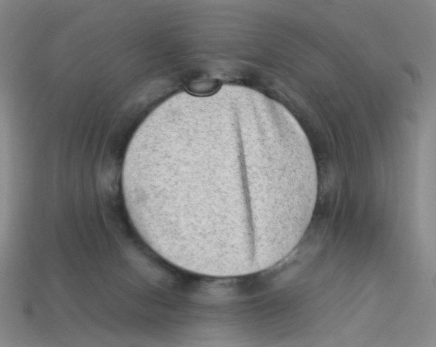 X0000113330078200910131157