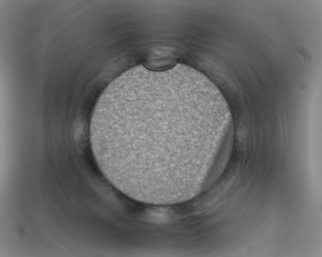 X0000113330079200910131157