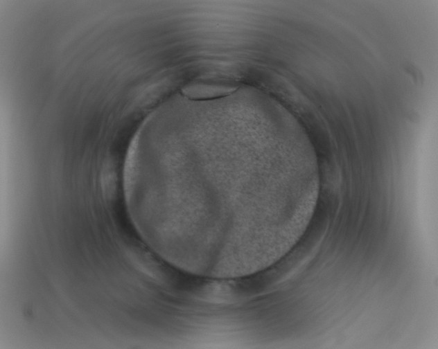 X0000113330080200910131157