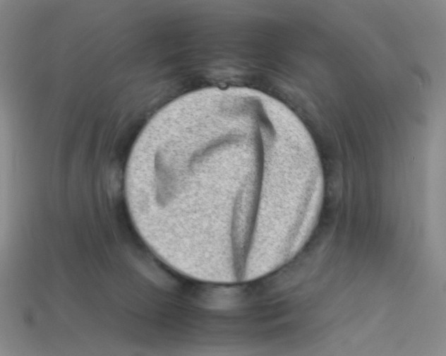 X0000113330081200910131157