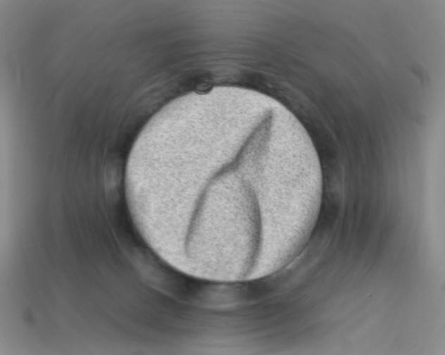 X0000113330082200910131157