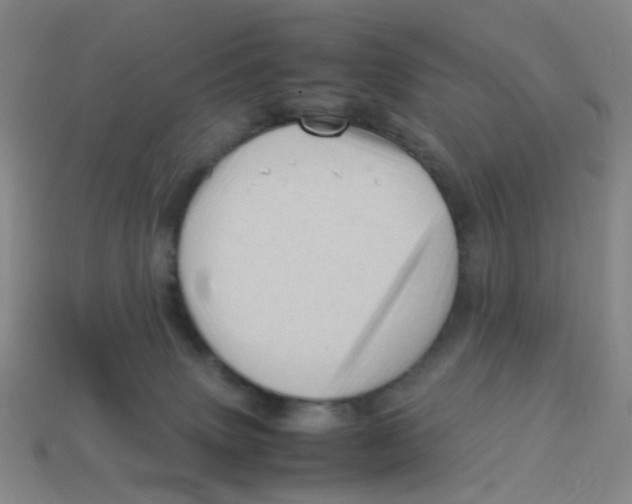 X0000113330083200910131157