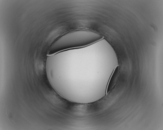 X0000113330084200910131157