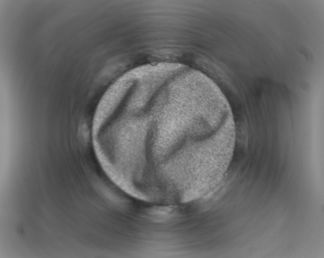 X0000113330086200910131157