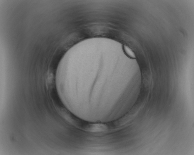 X0000113330087200910131157
