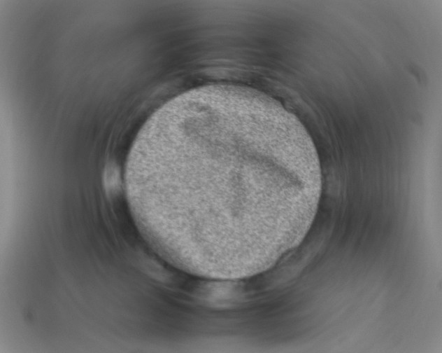X0000113330089200910131157