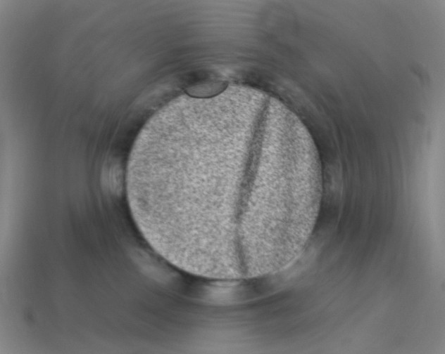 X0000113330090200910131157