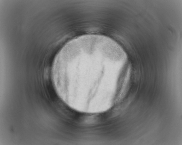 X0000113330093200910131157