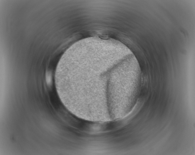 X0000113330094200910131157