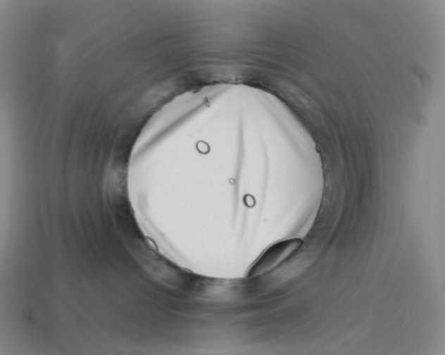 X0000113330096200910131157