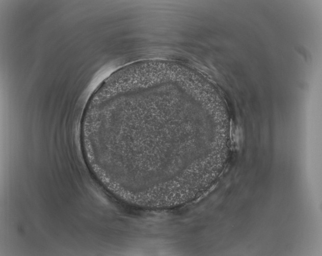 X0000113330099200910131157