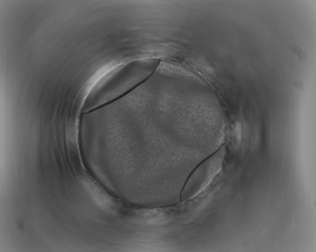 X0000113330100200910131157