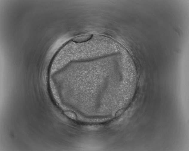 X0000113330103200910131157