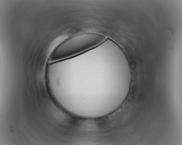 X0000113330104200910131157