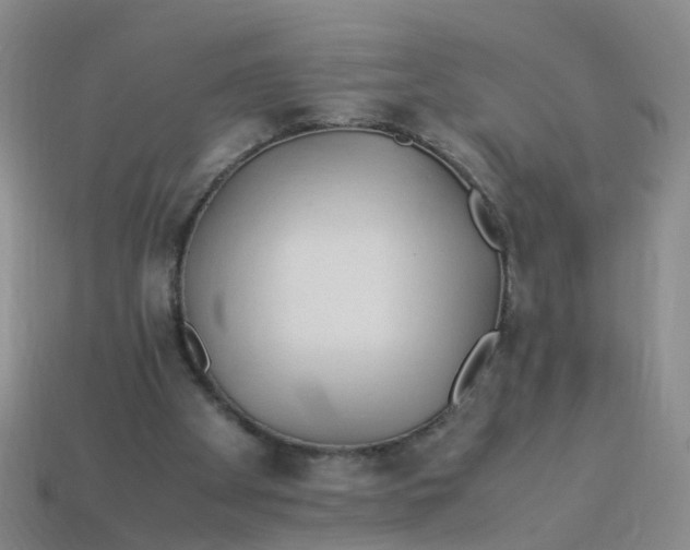 X0000113330105200910131157