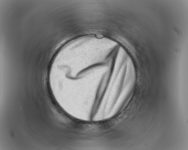 X0000113330107200910131157