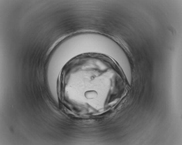 X0000113330108200910131157