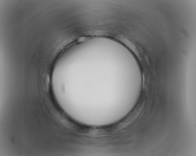X0000113330109200910131157