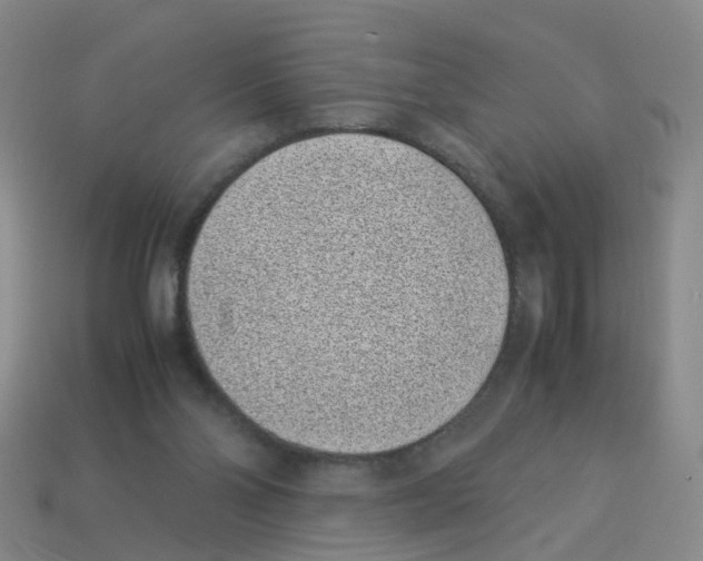 X0000113330110200910131156