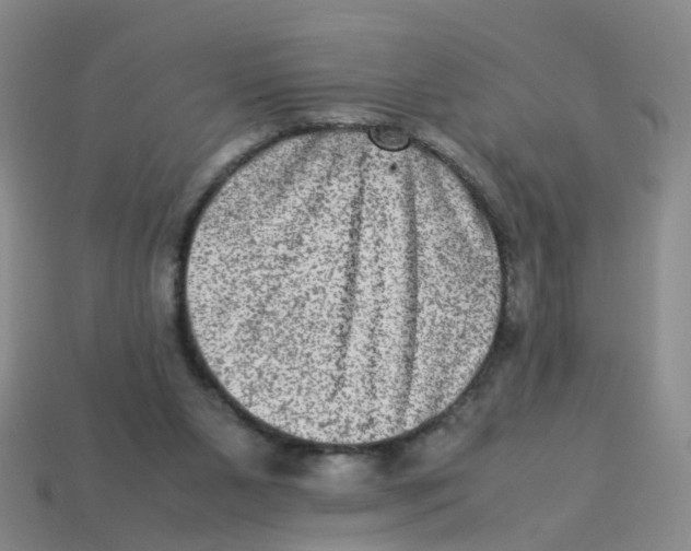 X0000113330111200910131156