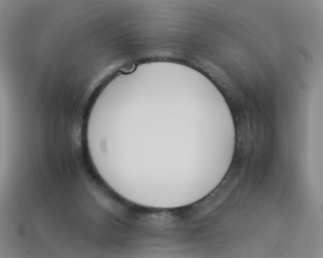 X0000113330112200910131156