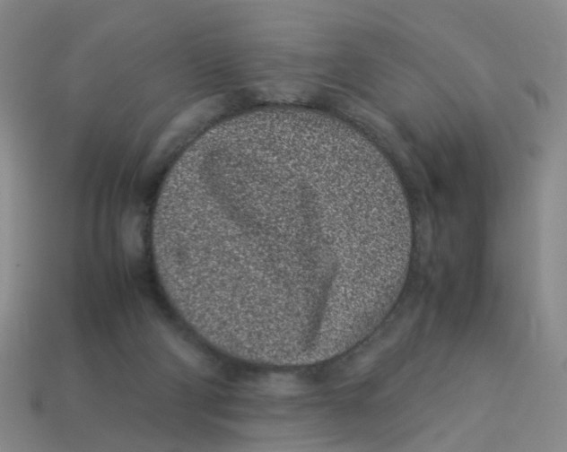 X0000113330114200910131156