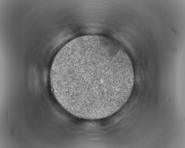 X0000113330115200910131156