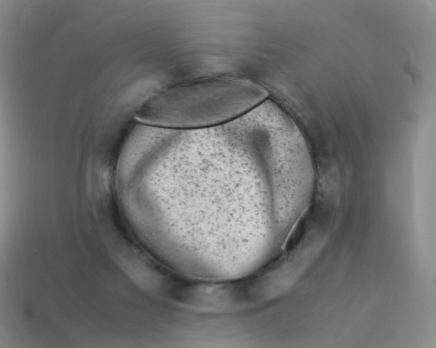 X0000113330117200910131156