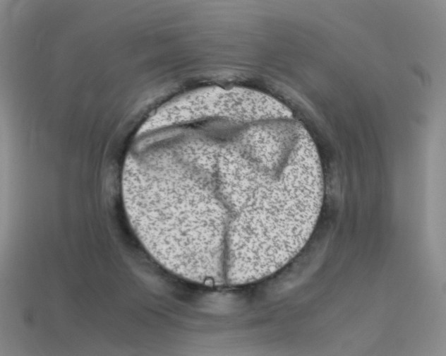 X0000113330119200910131156