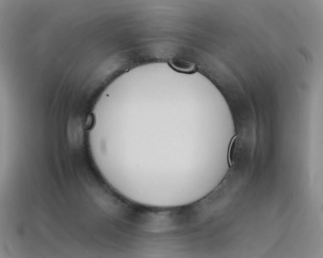 X0000113330120200910131156