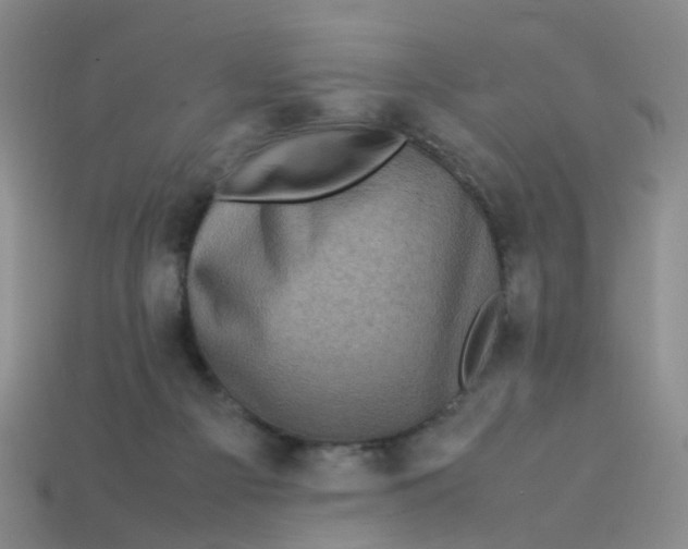X0000113330121200910131156